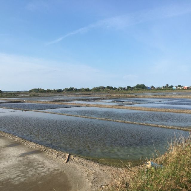 Sweet Salt Farm