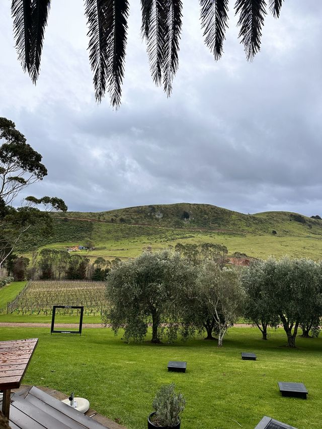 Stunning vineyard in Waiheke Island 