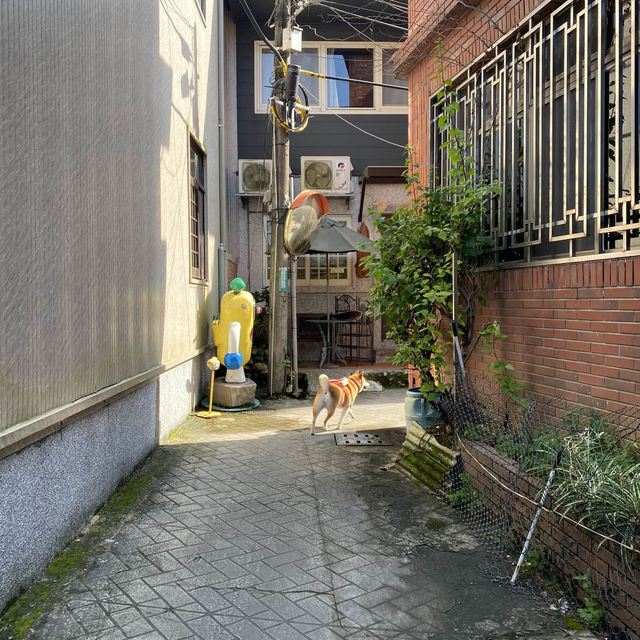 大溪迷宮巷☀️