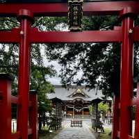 Niigata Suwa shrine sightseeing 