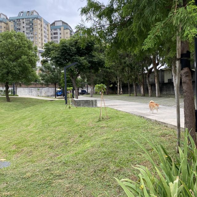 龍潭日出公園🐕