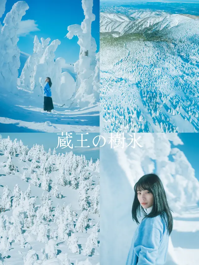 日本絕景之一🇯🇵 藏王樹冰