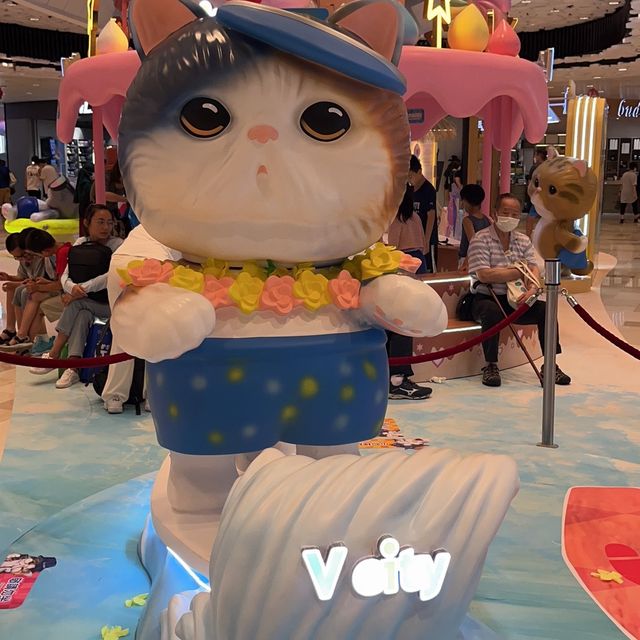 我同貓咪有個約會