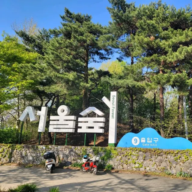 두근두근여름휴가 서울에서 산책하기 참 좋은 공원 서울숲공원