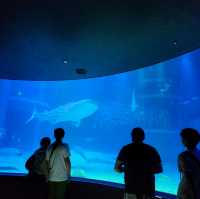 海洋館
