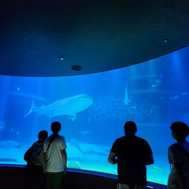 海洋館