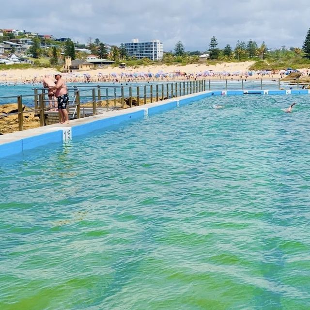 Freshwater Rock Pool 