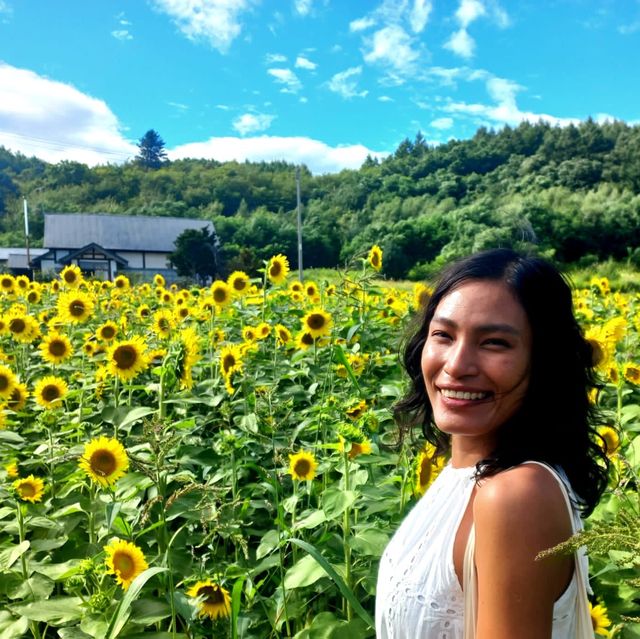 Sightseeing in sakiwai field