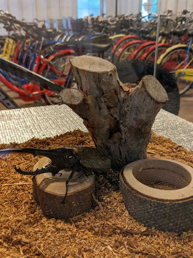【チャリ散歩】北海道の自然と自転車散歩を堪能しよう！