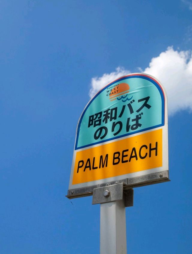 🏖️후쿠오카 근교: '이토시마' 해변 즐기기🏖️
