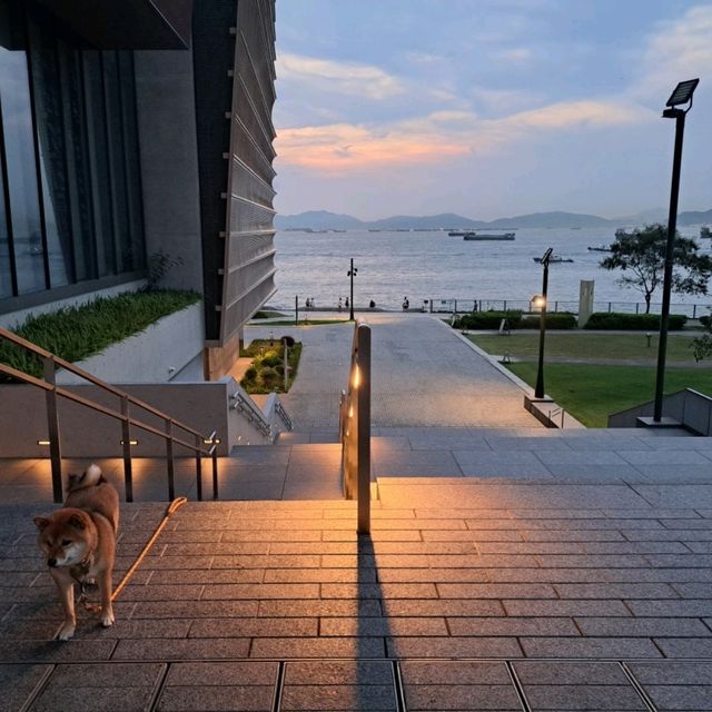 本地遊推介💕香港故宮文化博物館✨欣賞文物和打卡留念📸