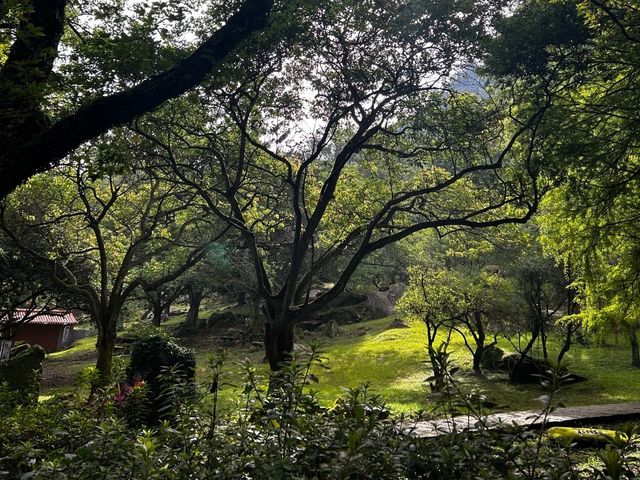 石門水庫：山明水秀，休閒好去處！🏞️🌳