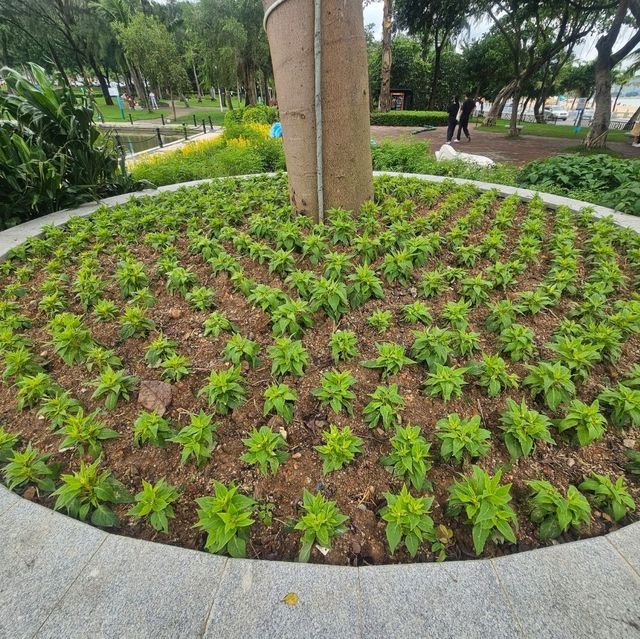 悠閒嘅珠海海濱公園