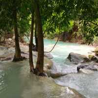 สวนรุกขชาติวังก้านเหลือง
