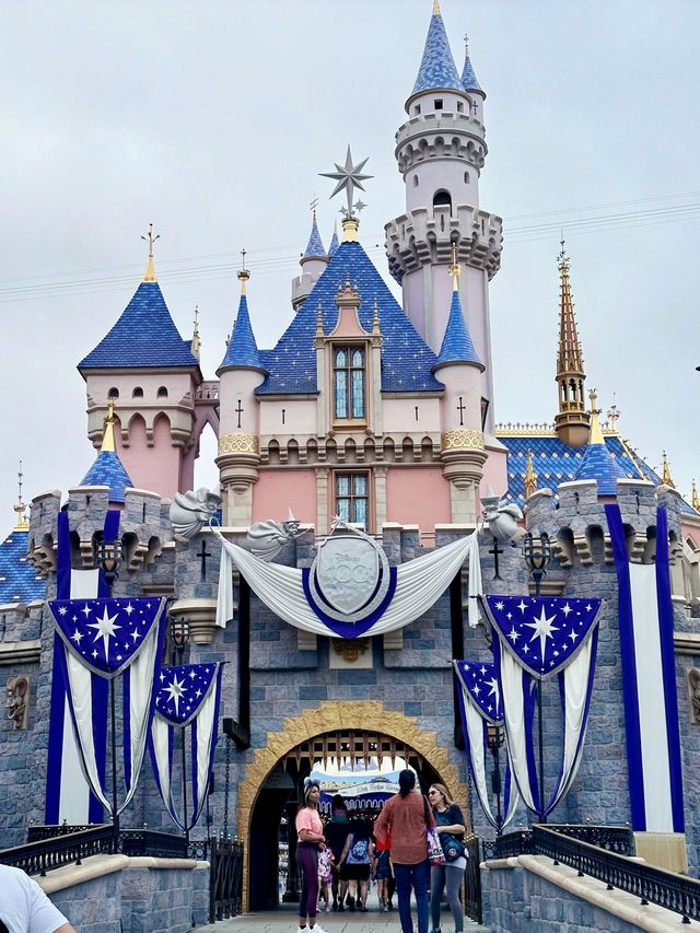 Magical moment at Disneyland Park California 