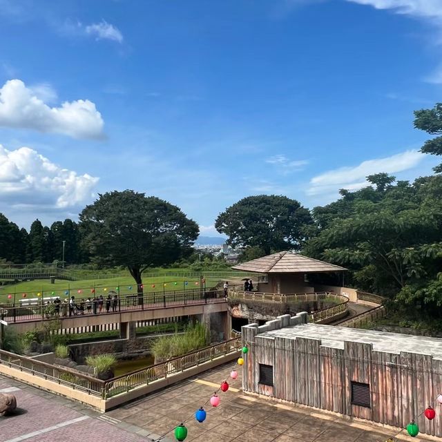 🦁🍽️👶仿如到了非洲 @ 平川動物公園🦁🍽️👶