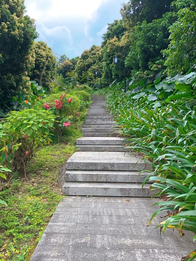 寶安公園～綠意盎然的遊樂天堂🌳🎠🌈 