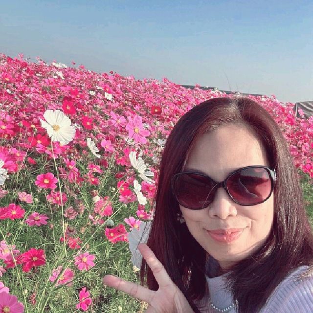 Beauty of Cosmos and You