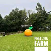แอ่วสวนส้มปรีชา
(Preecha Farm)