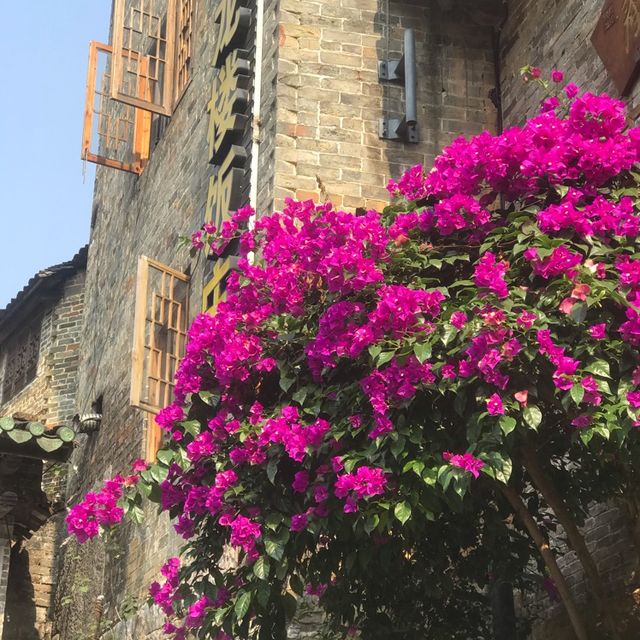 Huang Yao in Hezhou, Guangxi Province