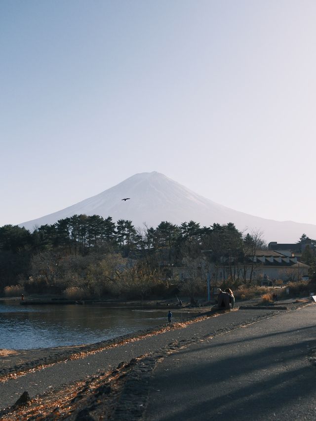 人少景美 可以看到富士山的寧靜公園🍂