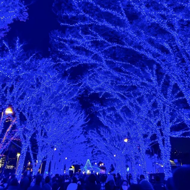 青の洞窟 SHIBUYA イルミネーション