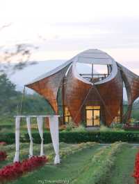 Bliss & Bloom Cafe ทับลาน