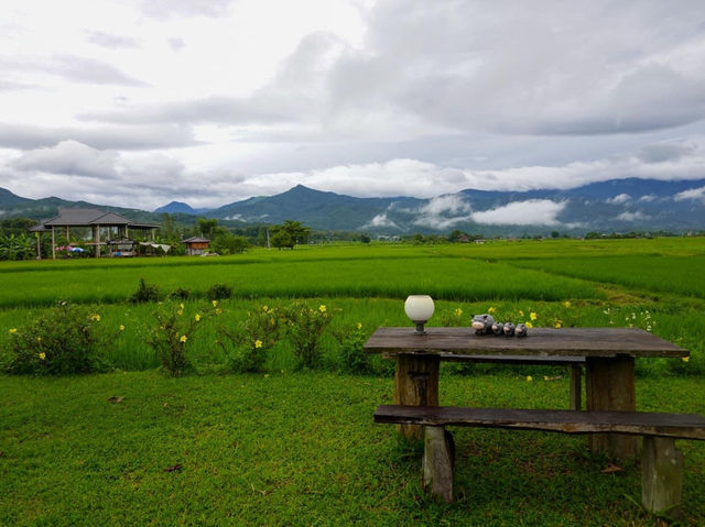 บ้านไม้ปลายนา โฮมสเตย์วิวทุ่งนา  🌾🌾🌾