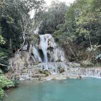 Christmas Magic in Luang Prabang 