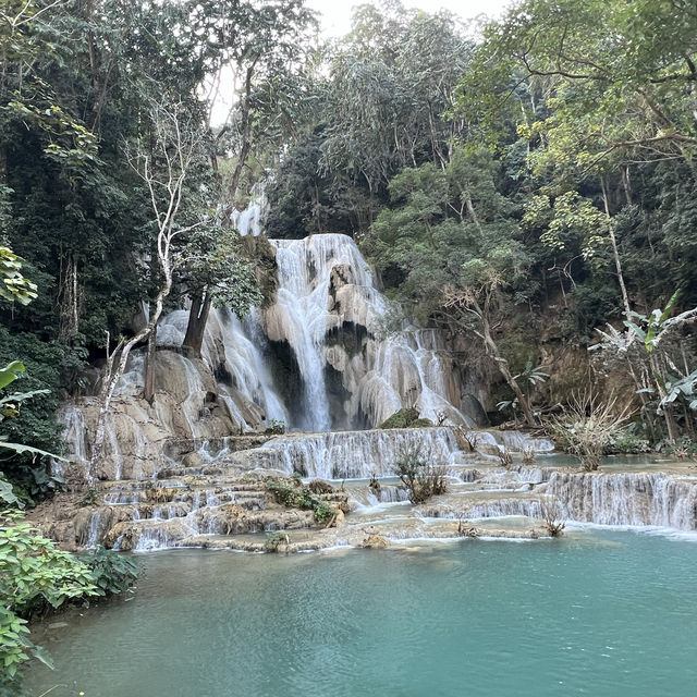 Christmas Magic in Luang Prabang 