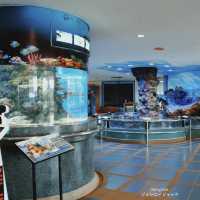 #ที่เที่ยวระยอง #พิพิธภัณฑ์สัตว์น้ำระยอง #บ้านเพ