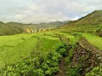 Tinglayan Rice Terraces