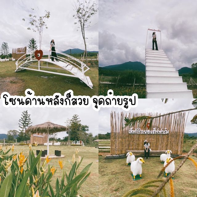 #แลนด์มาร์คระยอง #ที่เที่ยวระยอง #ปางช้างระยอง