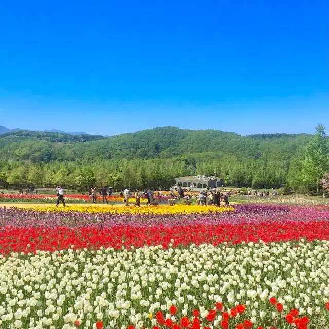 Takino Suzuran Hillside Park