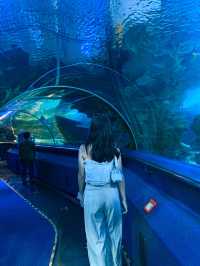 Visiting Aquaria KLCC, Kuala Lumpur 🇲🇾