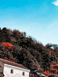 必打卡日本古老歷史氛圍的堀庭園🌿