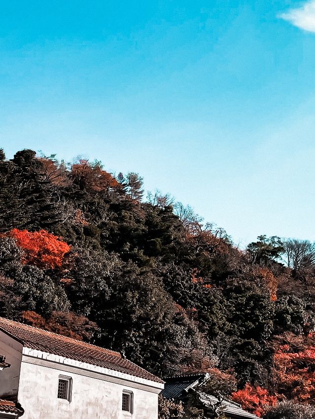 必打卡日本古老歷史氛圍的堀庭園🌿