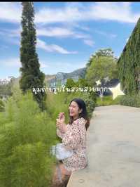 ชี้เป้า 4 คาเฟ่เขาใหญ่ ถ่ายรูปปัง อาหารก็อร่อย