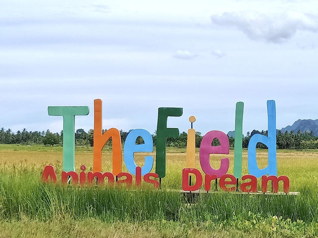 The field animal dream สวนสัตว์น่ารักใน จ.เพชรบุรี