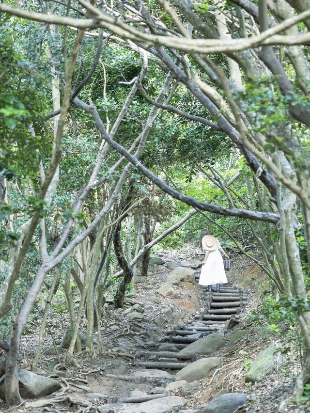 【福岡】糸島でトトロの世界？糸島トトロの森