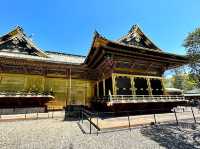 Toshogu Shrine in Ueno Park