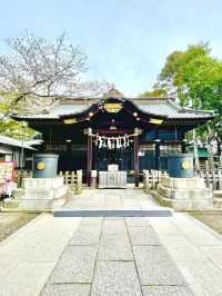【玉前神社/千葉県】黒塗り社殿と桜の共演