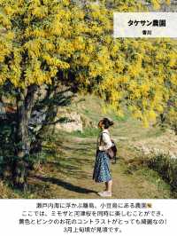 【日本の絶景】春休みからGWまで見頃あり！西日本のお花見おすすめスポット！