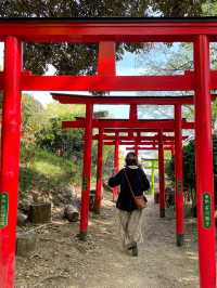 【栃木】足利織姫神社で七つの良い縁をゲットしよう