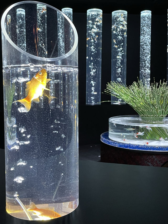 【アートアクアリウム美術館 GINZA /東京都】春を先取り！幻想的空間の桜と金魚