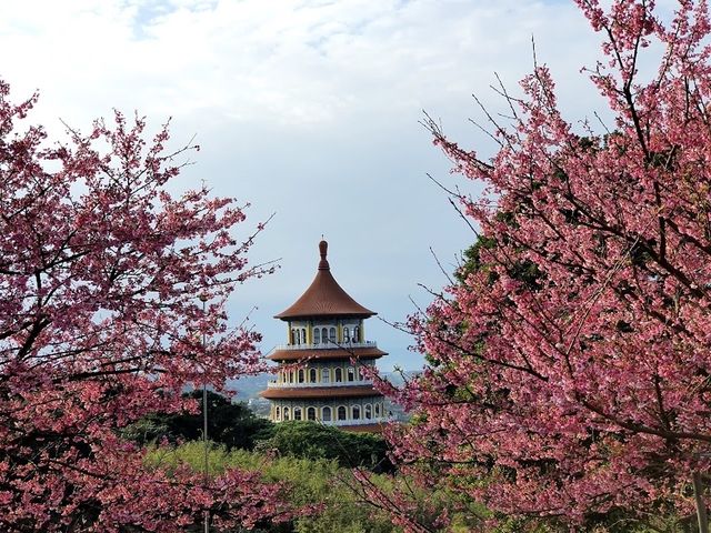 📍 Wuji Tianyuan Temple  🌸