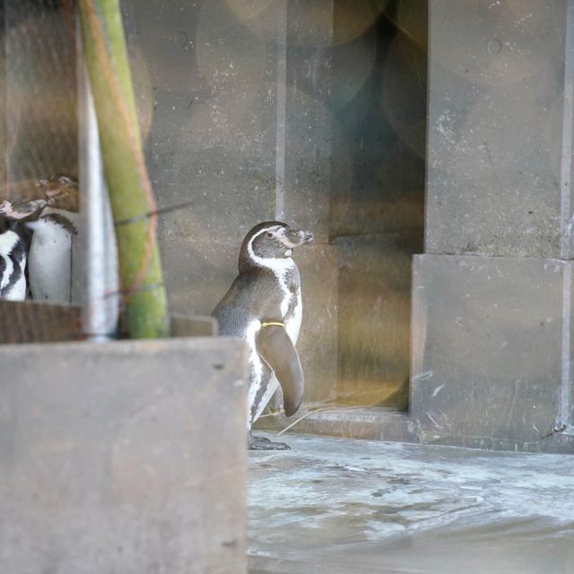 在動物園渡過美好放鬆的下午