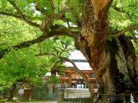 【大山祇神社】（愛媛県今治市　旧国名：伊予）