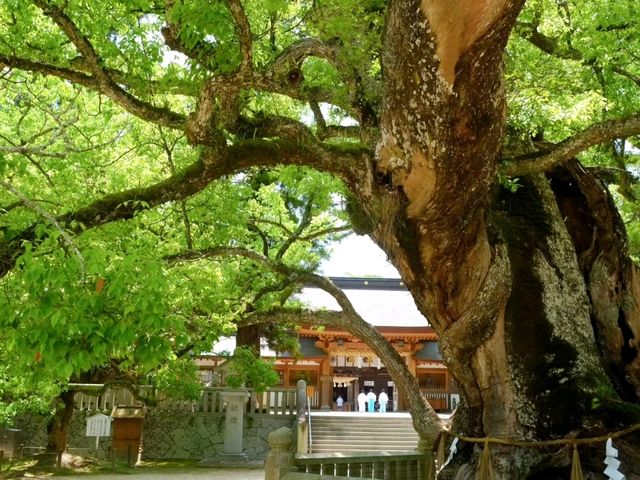 【大山祇神社】（愛媛県今治市　旧国名：伊予）