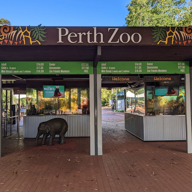 Wild Wonders: A Day at Perth Zoo